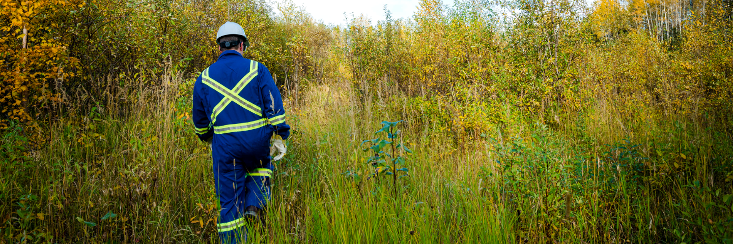 Hardhat worker in forest